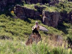 Çerkezoğlu ilgi odağı oldu